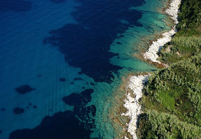 Apartament w Nerezine - Apartament w Nerezine z taras, Klimatyzacja, WIFI, Pralka (4827-3) Apartament w Nerezine - Apartament w Nerezine z taras, Klimatyzacja, WIFI, Pralka (4827-3)