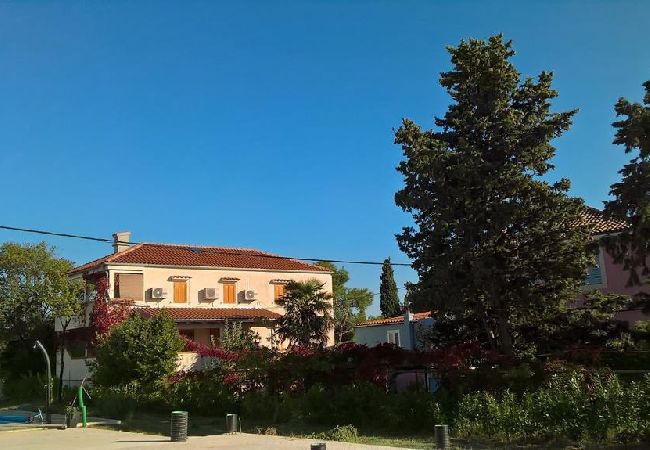 Studio w Nerezine - Apartament Studio w Nerezine z balkon, Klimatyzacja, WIFI, Pralka (4827-4) Studio w Nerezine - Apartament Studio w Nerezine z balkon, Klimatyzacja, WIFI, Pralka (4827-4)