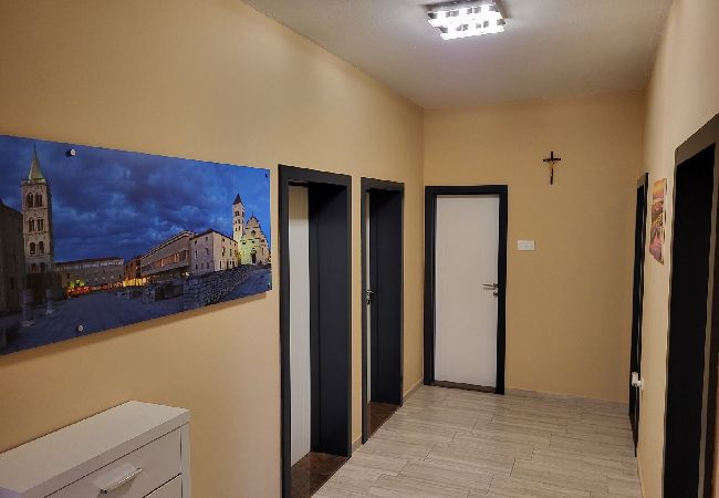 Apartament w Vrsi - Apartament w Vrsi z taras, Klimatyzacja, WIFI, Pralka (4836-1) Apartament w Vrsi - Apartament w Vrsi z taras, Klimatyzacja, WIFI, Pralka (4836-1)