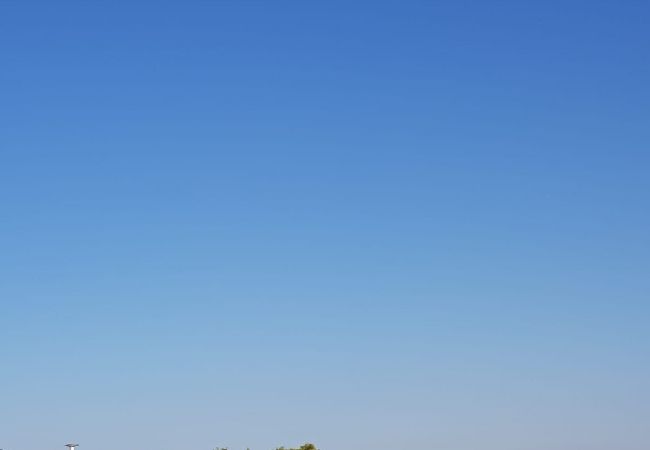 Apartament w Vrsi - Apartament w Vrsi z Widok na morze, taras, Klimatyzacja, WIFI (4836-2) Apartament w Vrsi - Apartament w Vrsi z Widok na morze, taras, Klimatyzacja, WIFI (4836-2)