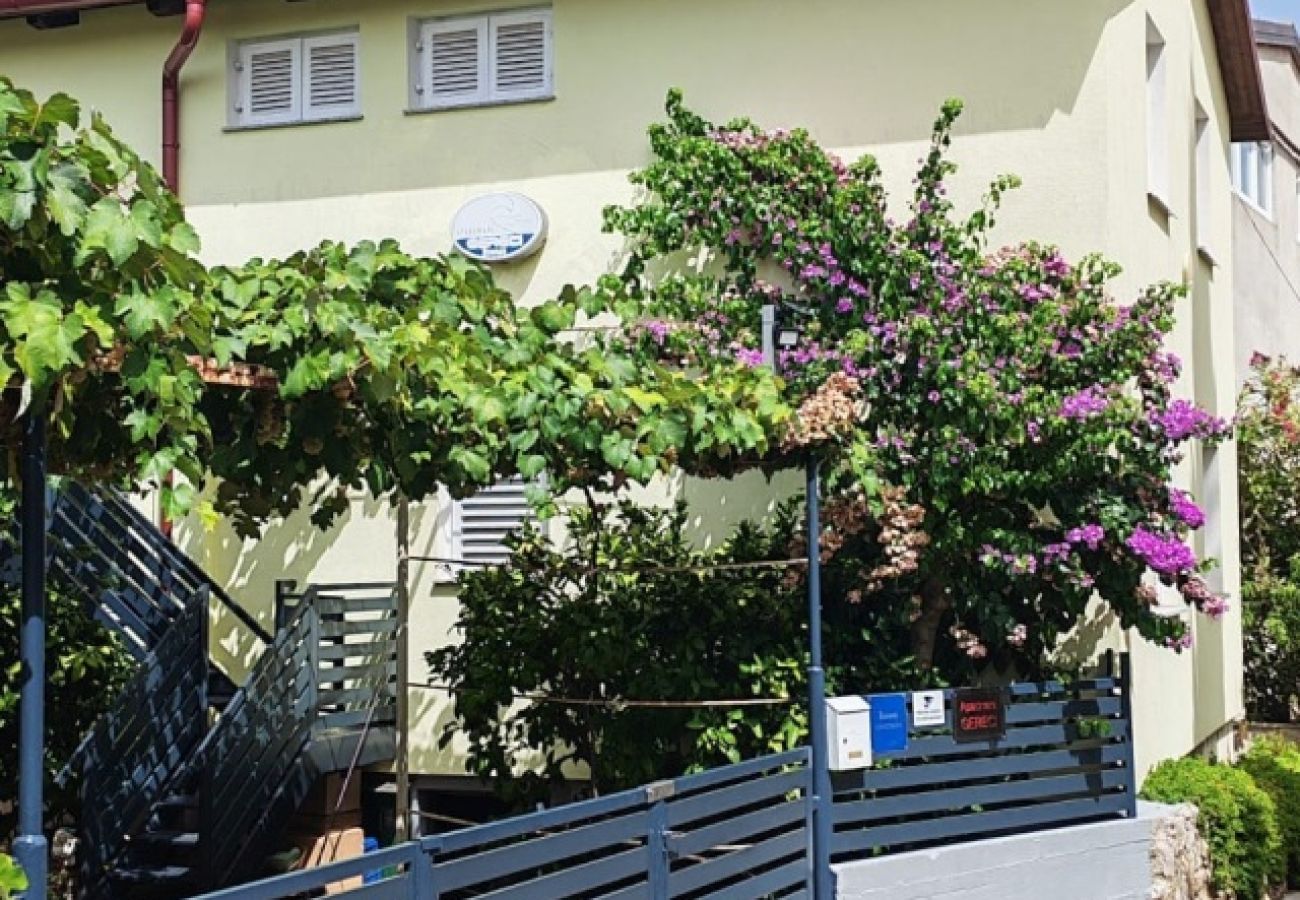 Apartament w Ždrelac - Apartament w Ždrelac z balkon, Klimatyzacja, WIFI, Pralka (4834-1)