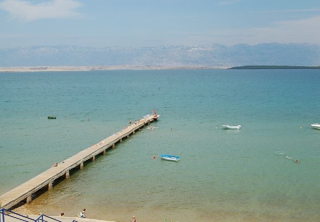 Apartament w Privlaka - Apartament w Privlaka z taras, Klimatyzacja, WIFI, Pralka (4839-1) Apartament w Privlaka - Apartament w Privlaka z taras, Klimatyzacja, WIFI, Pralka (4839-1)