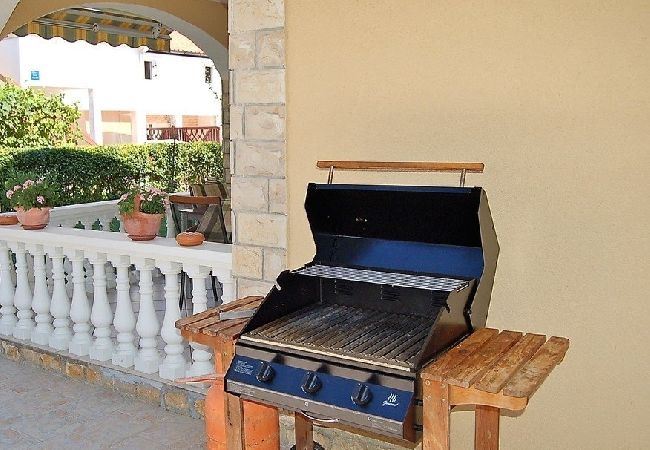 Apartament w Privlaka - Apartament w Privlaka z taras, Klimatyzacja, WIFI, Pralka (4839-2) Apartament w Privlaka - Apartament w Privlaka z taras, Klimatyzacja, WIFI, Pralka (4839-2)