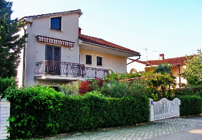 Novigrad - Apartament