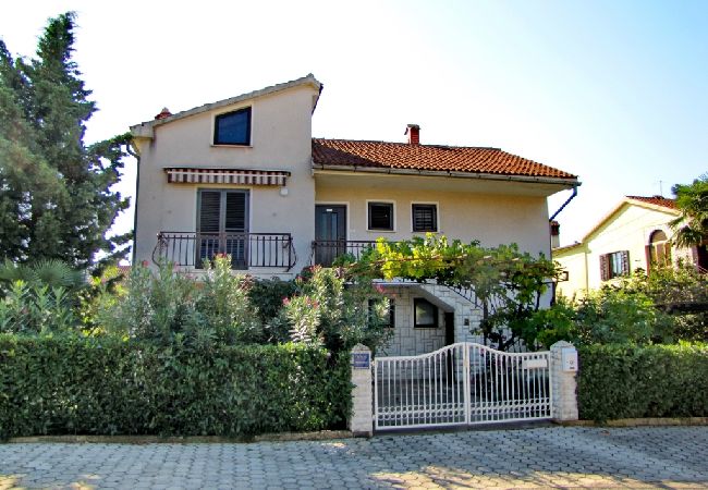 Novigrad - Apartament