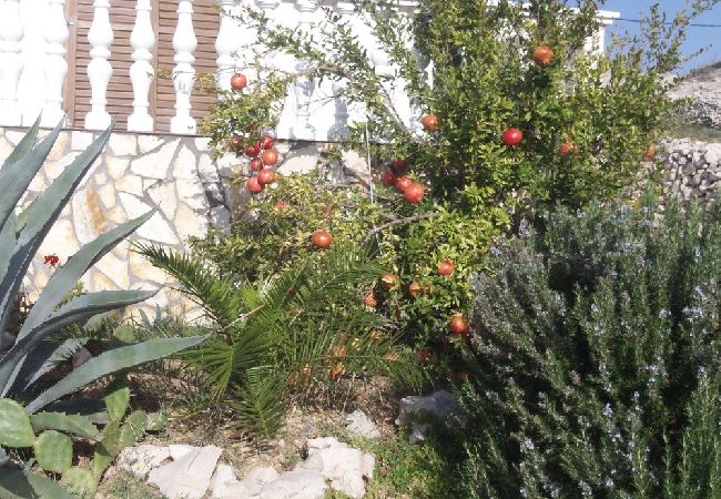 Apartament w Kustici - Apartament w Kustici z Widok na morze, taras, Klimatyzacja, WIFI (4847-3) Apartament w Kustici - Apartament w Kustici z Widok na morze, taras, Klimatyzacja, WIFI (4847-3)