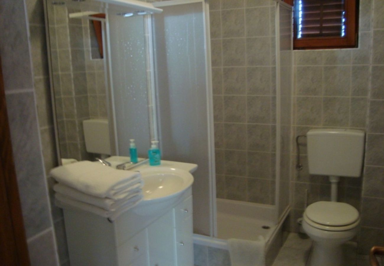 Apartament w Kustici - Apartament w Kustici z Widok na morze, taras, Klimatyzacja, WIFI (4847-3)