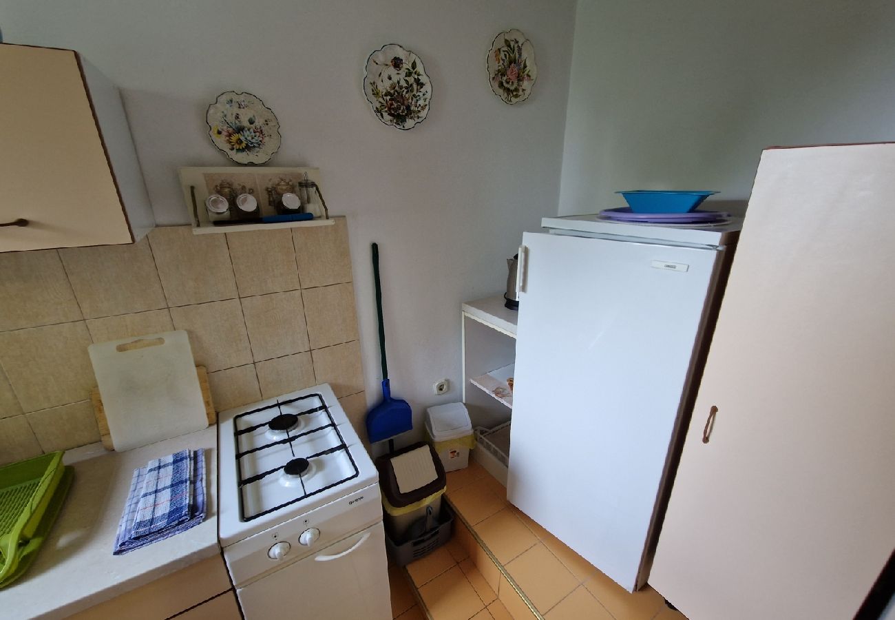 Apartament w Icici - Apartament w Ičići z Widok na morze, taras, WIFI (4870-1)