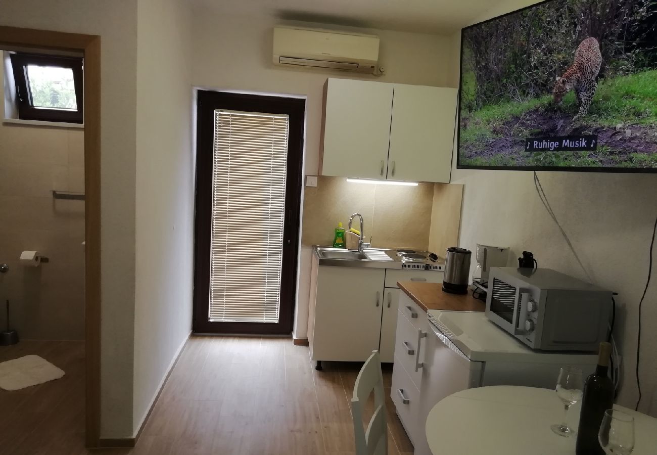 Studio w Nin - Apartament Studio w Nin z Widok na morze, taras, Klimatyzacja, WIFI (4868-1)