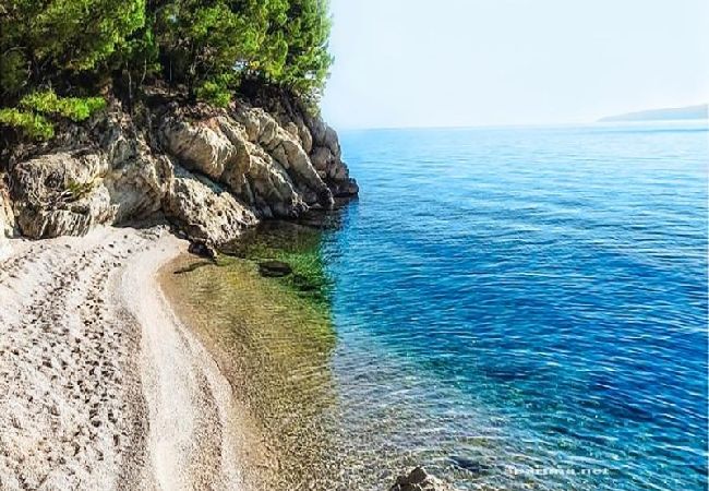 Apartament w Pisak - Apartament w Pisak z Widok na morze, taras, Klimatyzacja, WIFI (4871-3) Apartament w Pisak - Apartament w Pisak z Widok na morze, taras, Klimatyzacja, WIFI (4871-3)