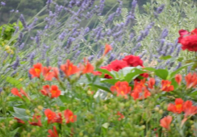 Studio w Hvar - Apartament Studio w Hvar z taras, Klimatyzacja, WIFI, Zmywarka (4858-3) Studio w Hvar - Apartament Studio w Hvar z taras, Klimatyzacja, WIFI, Zmywarka (4858-3)