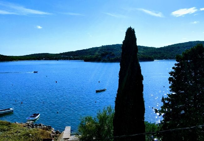 Apartament w Tisno - Apartament w Tisno z Widok na morze, balkon, Klimatyzacja, WIFI (4874-1) Apartament w Tisno - Apartament w Tisno z Widok na morze, balkon, Klimatyzacja, WIFI (4874-1)