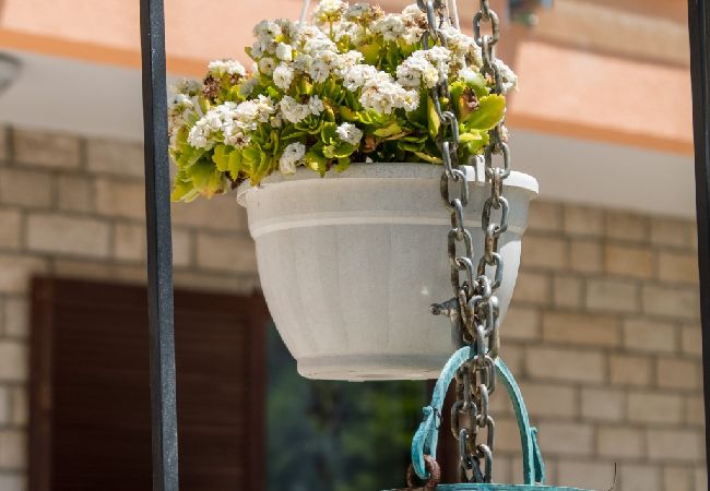 Apartament w Mali Lošinj - Apartament w Mali Lošinj z Widok na morze, balkon, Klimatyzacja, WIFI (4896-1) Apartament w Mali Lošinj - Apartament w Mali Lošinj z Widok na morze, balkon, Klimatyzacja, WIFI (4896-1)