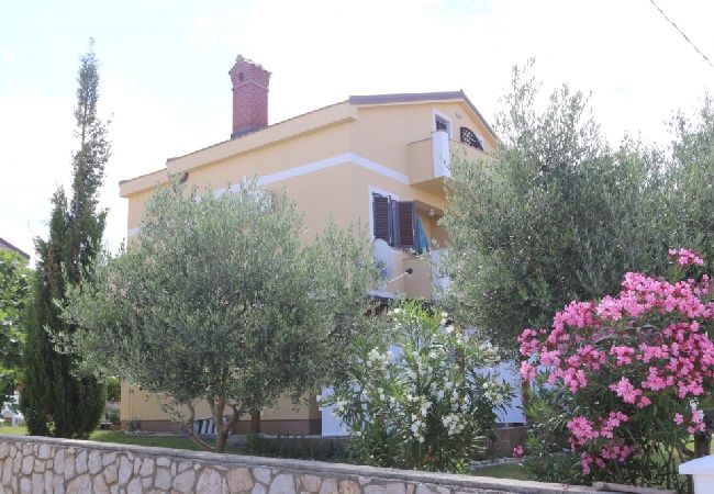 Apartament w Stara Novalja - Apartament w Stara Novalja z Widok na morze, balkon, Klimatyzacja, WIFI (4897-1) Apartament w Stara Novalja - Apartament w Stara Novalja z Widok na morze, balkon, Klimatyzacja, WIFI (4897-1)