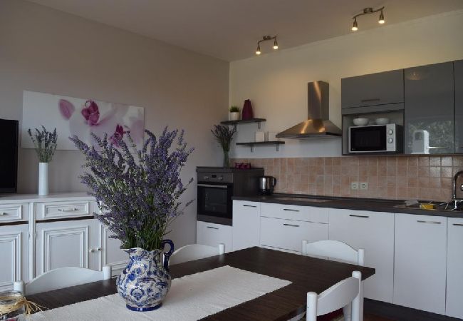 Apartament w Banjol - Apartament w Banjol z balkon, Klimatyzacja, WIFI, Zmywarka (4888-1) Apartament w Banjol - Apartament w Banjol z balkon, Klimatyzacja, WIFI, Zmywarka (4888-1)