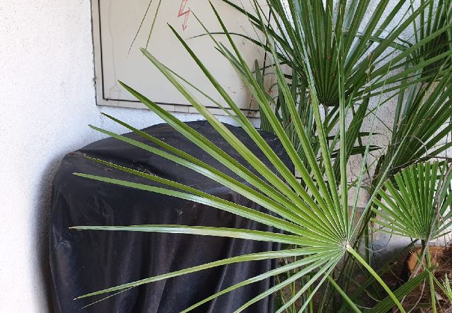 Studio w Mali Lošinj - Apartament Studio w Mali Lošinj z taras, Klimatyzacja, WIFI (4913-2) Studio w Mali Lošinj - Apartament Studio w Mali Lošinj z taras, Klimatyzacja, WIFI (4913-2)