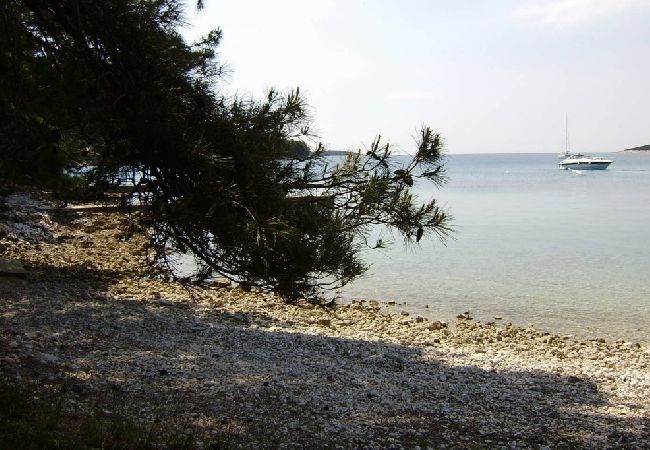 Studio w Mali Lošinj - Apartament Studio w Mali Lošinj z taras, Klimatyzacja, WIFI (4913-2) Studio w Mali Lošinj - Apartament Studio w Mali Lošinj z taras, Klimatyzacja, WIFI (4913-2)