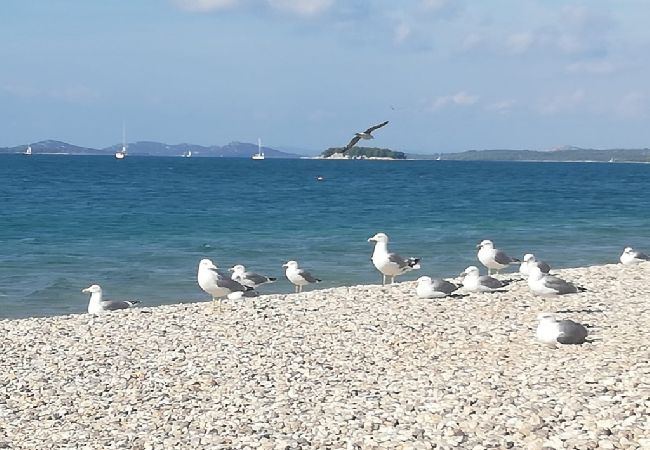 Apartament w Pirovac - Apartament w Pirovac z Widok na morze, taras, Klimatyzacja, WIFI (4925-1) Apartament w Pirovac - Apartament w Pirovac z Widok na morze, taras, Klimatyzacja, WIFI (4925-1)