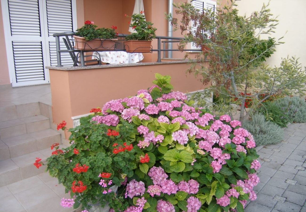 Apartament w Sukošan - Apartament w Sukošan z balkon, Klimatyzacja, WIFI (4941-1)