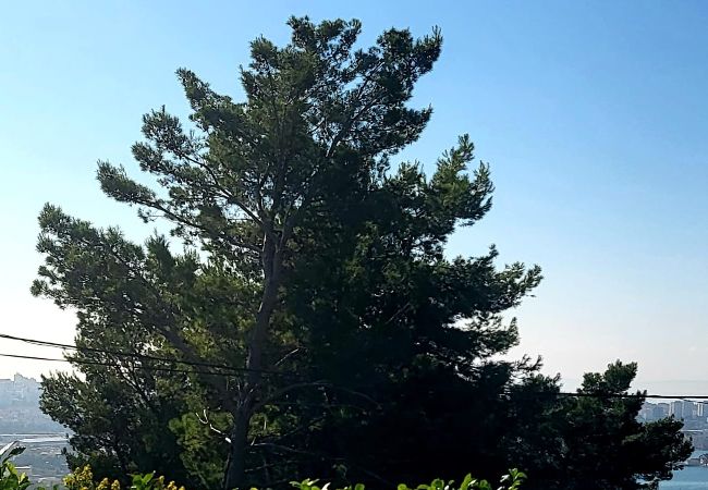 Dom w Split - Domek wypoczynkowy w Split z Widok na morze, taras, Klimatyzacja, WIFI (4937-1) Dom w Split - Domek wypoczynkowy w Split z Widok na morze, taras, Klimatyzacja, WIFI (4937-1)