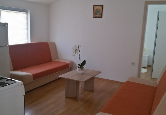 Apartament w Vir - Apartament w Vir z Widok na morze, balkon, Klimatyzacja, WIFI (3777-2) Apartament w Vir - Apartament w Vir z Widok na morze, balkon, Klimatyzacja, WIFI (3777-2)