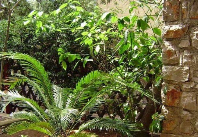 Apartament w Mali Lošinj - Apartment in Mali Lošinj with Terrace, Air condition, WIFI, Washing machine (4913-3) Apartament w Mali Lošinj - Apartment in Mali Lošinj with Terrace, Air condition, WIFI, Washing machine (4913-3)