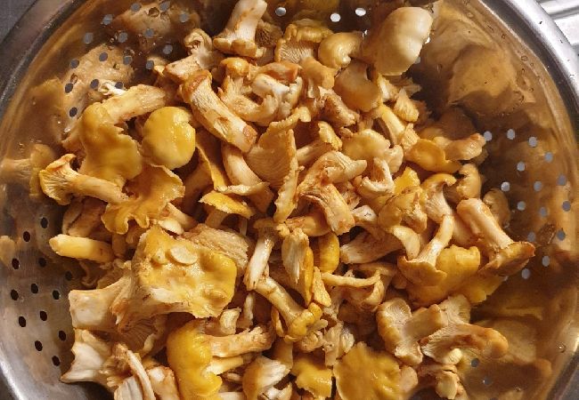 Apartament w Mali Lošinj - Apartment in Mali Lošinj with Terrace, Air condition, WIFI, Washing machine (4913-3) Apartament w Mali Lošinj - Apartment in Mali Lošinj with Terrace, Air condition, WIFI, Washing machine (4913-3)