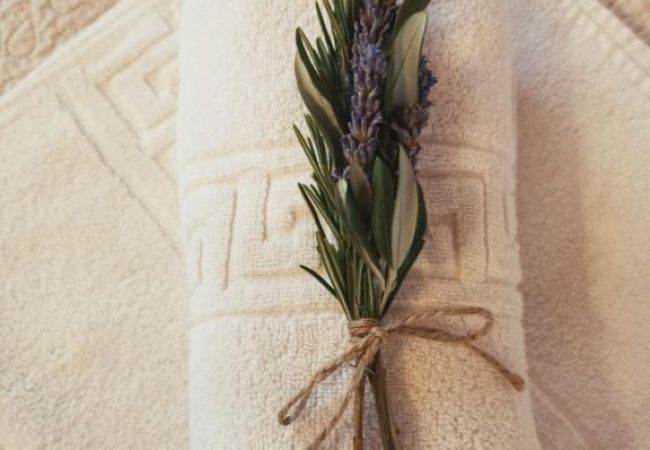 Apartament w Okrug Gornji - Apartament w Okrug Gornji z Widok na morze, taras, Klimatyzacja, WIFI (5045-1) Apartament w Okrug Gornji - Apartament w Okrug Gornji z Widok na morze, taras, Klimatyzacja, WIFI (5045-1)