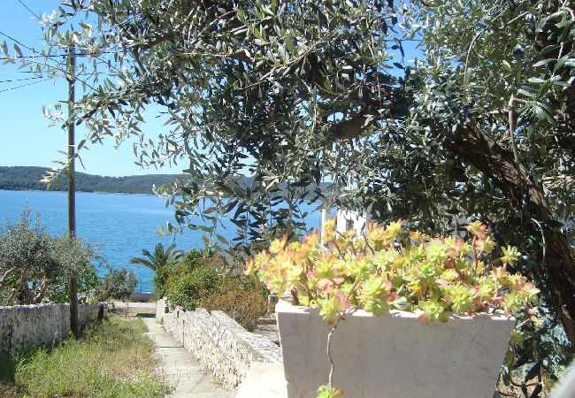 Apartament w Okrug Gornji - Apartament w Okrug Gornji z Widok na morze, taras, Klimatyzacja, WIFI (5045-1) Apartament w Okrug Gornji - Apartament w Okrug Gornji z Widok na morze, taras, Klimatyzacja, WIFI (5045-1)