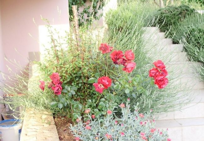 Apartament w Okrug Gornji - Apartament w Okrug Gornji z Widok na morze, balkon, Klimatyzacja, WIFI (5048-4) Apartament w Okrug Gornji - Apartament w Okrug Gornji z Widok na morze, balkon, Klimatyzacja, WIFI (5048-4)