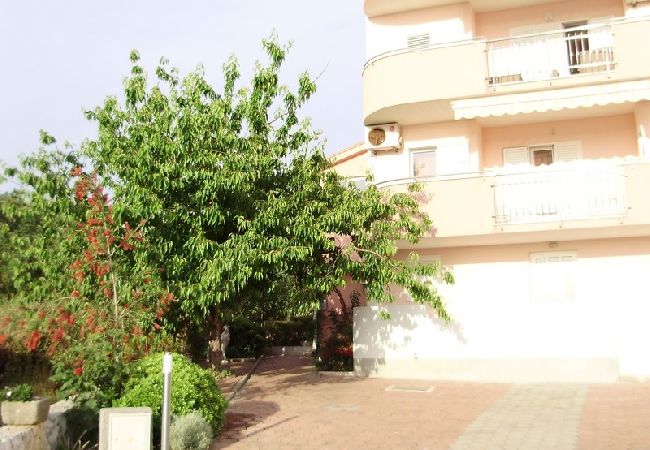 Apartament w Okrug Gornji - Apartament w Okrug Gornji z Widok na morze, balkon, Klimatyzacja, WIFI (5048-2) Apartament w Okrug Gornji - Apartament w Okrug Gornji z Widok na morze, balkon, Klimatyzacja, WIFI (5048-2)