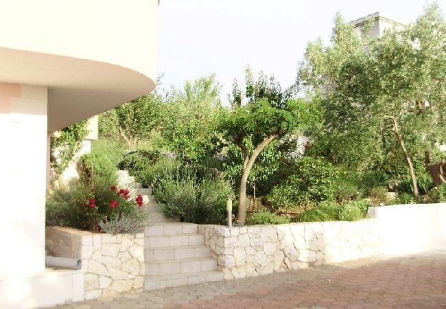 Apartament w Okrug Gornji - Apartament w Okrug Gornji z Widok na morze, balkon, Klimatyzacja, WIFI (5048-2) Apartament w Okrug Gornji - Apartament w Okrug Gornji z Widok na morze, balkon, Klimatyzacja, WIFI (5048-2)