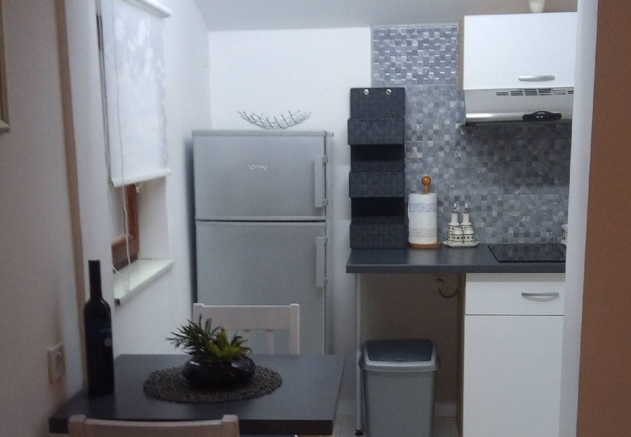 Apartament w Privlaka - Apartament w Privlaka z Widok na morze, taras, Klimatyzacja, WIFI (3591-3)