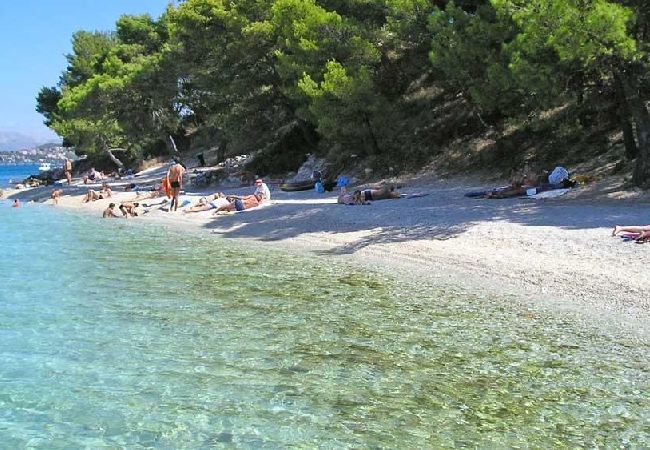 Apartament w Okrug Donji - Apartament w Okrug Donji z Widok na morze, taras, Klimatyzacja, WIFI (5136-1) Apartament w Okrug Donji - Apartament w Okrug Donji z Widok na morze, taras, Klimatyzacja, WIFI (5136-1)