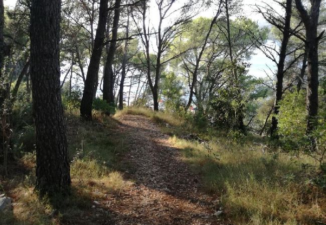 Apartament w Okrug Donji - Apartament w Okrug Donji z Widok na morze, taras, Klimatyzacja, WIFI (5136-1) Apartament w Okrug Donji - Apartament w Okrug Donji z Widok na morze, taras, Klimatyzacja, WIFI (5136-1)