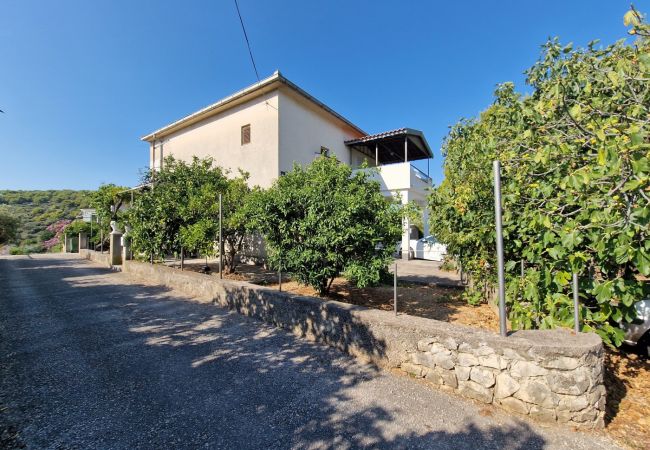 Apartament w Okrug Donji - Apartament w Okrug Donji z Widok na morze, taras, Klimatyzacja, WIFI (5136-1) Apartament w Okrug Donji - Apartament w Okrug Donji z Widok na morze, taras, Klimatyzacja, WIFI (5136-1)