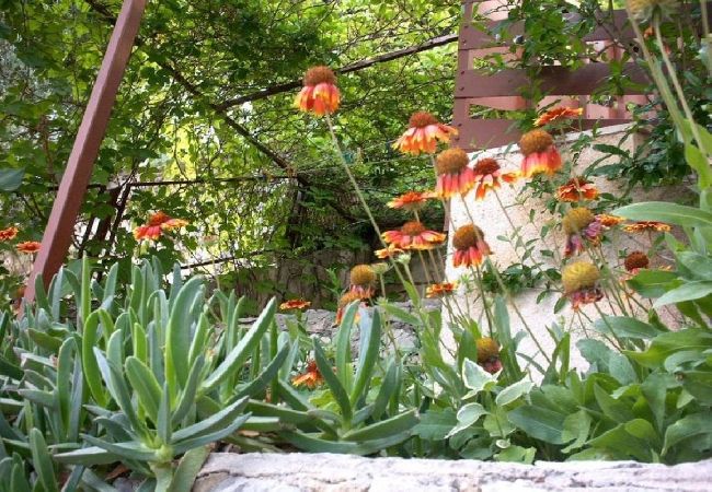 Apartament w Pisak - Apartament w Pisak z Widok na morze, balkon, Klimatyzacja, WIFI (5135-1) Apartament w Pisak - Apartament w Pisak z Widok na morze, balkon, Klimatyzacja, WIFI (5135-1)