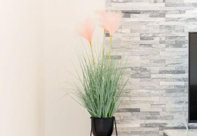 Apartament w Arbanija - Apartament w Arbanija z Widok na morze, balkon, Klimatyzacja, WIFI (5137-2) Apartament w Arbanija - Apartament w Arbanija z Widok na morze, balkon, Klimatyzacja, WIFI (5137-2)