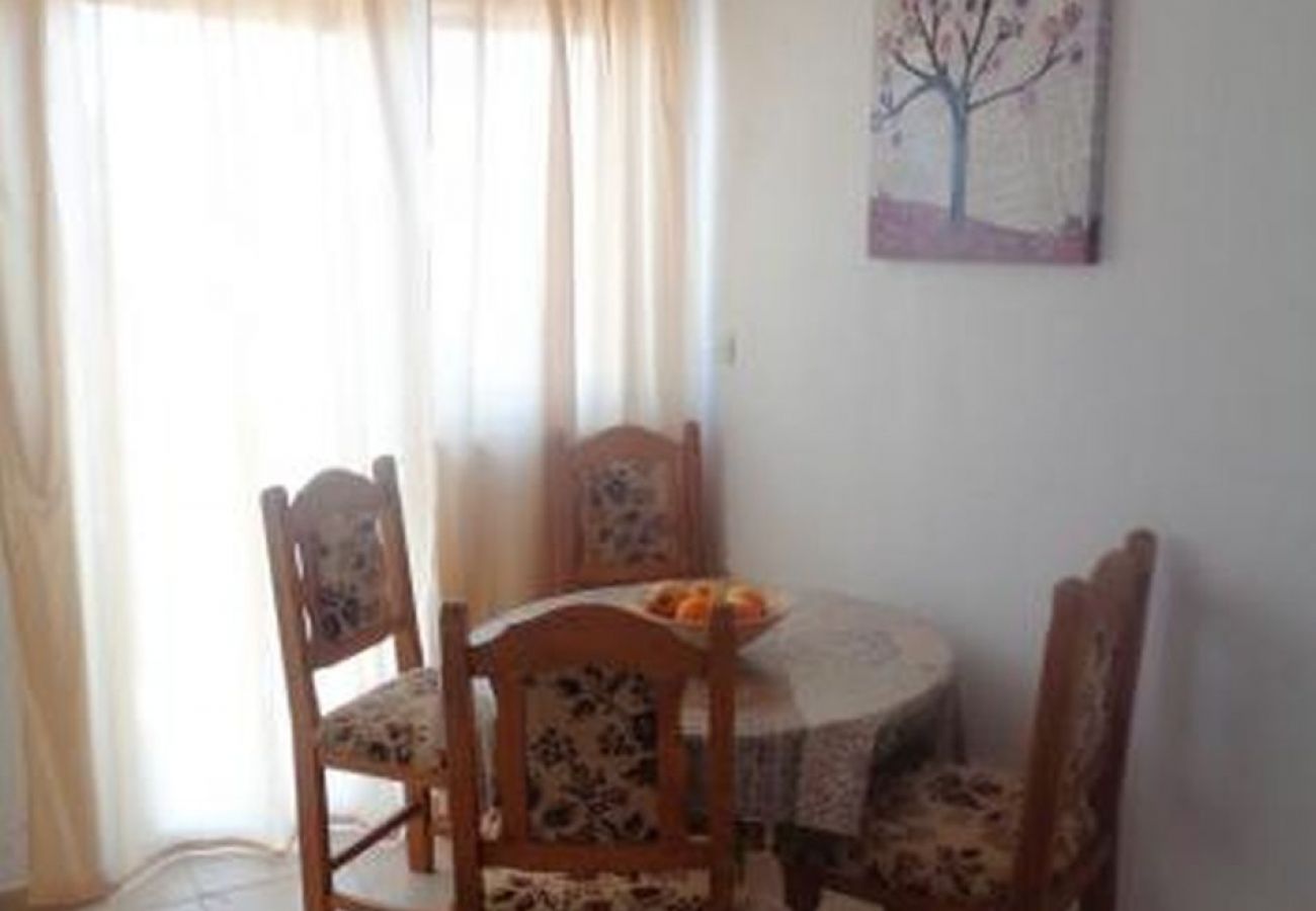 Apartament w Drage - Apartament w Drage z Widok na morze, balkon, Klimatyzacja, WIFI (5144-7)