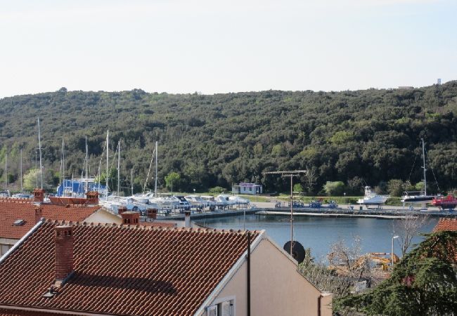 Apartament w Pula - Apartament w Pula z taras, Klimatyzacja, WIFI, Pralka (633-6) Apartament w Pula - Apartament w Pula z taras, Klimatyzacja, WIFI, Pralka (633-6)