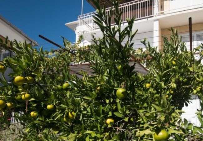 Apartament w Dvornica - Apartament w Stupin Čeline z Widok na morze, balkon, Klimatyzacja, WIFI (5149-1) Apartament w Dvornica - Apartament w Stupin Čeline z Widok na morze, balkon, Klimatyzacja, WIFI (5149-1)