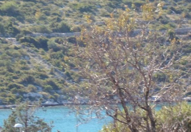 Apartament w Dvornica - Apartament w Stupin Čeline z Widok na morze, balkon, Klimatyzacja, WIFI (5149-1) Apartament w Dvornica - Apartament w Stupin Čeline z Widok na morze, balkon, Klimatyzacja, WIFI (5149-1)