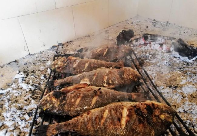 Apartament w Okrug Gornji - Apartament w Okrug Gornji z Widok na morze, taras, Klimatyzacja, WIFI (5160-2) Apartament w Okrug Gornji - Apartament w Okrug Gornji z Widok na morze, taras, Klimatyzacja, WIFI (5160-2)