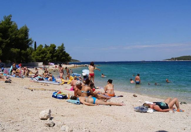 Apartament w Ražanj - Apartament w Ražanj z taras, Klimatyzacja, WIFI, Pralka (4773-4) Apartament w Ražanj - Apartament w Ražanj z taras, Klimatyzacja, WIFI, Pralka (4773-4)