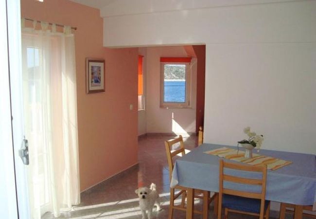 Studio w Sevid - Apartament Studio w Sevid z Widok na morze, balkon, Klimatyzacja, WIFI (5169-3) Studio w Sevid - Apartament Studio w Sevid z Widok na morze, balkon, Klimatyzacja, WIFI (5169-3)