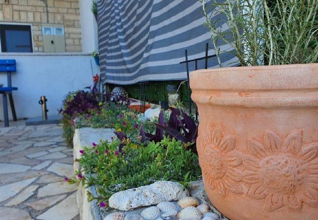 Apartament w Rogoznica - Apartament w Rogoznica z taras, Klimatyzacja, WIFI (5170-1) Apartament w Rogoznica - Apartament w Rogoznica z taras, Klimatyzacja, WIFI (5170-1)