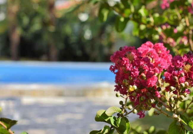 Studio w Porec - Apartament Studio w Poreč z balkon, Klimatyzacja, WIFI (819-7) Studio w Porec - Apartament Studio w Poreč z balkon, Klimatyzacja, WIFI (819-7)