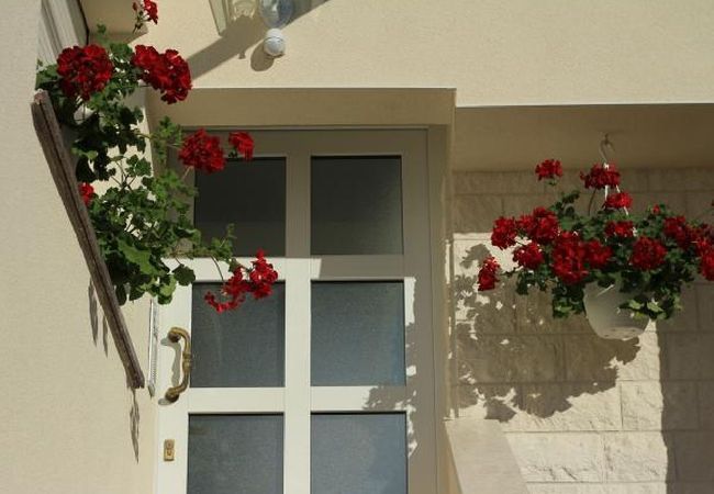 Apartament w Šibenik-Brodarica - Apartament w Brodarica z Widok na morze, taras, Klimatyzacja, WIFI (5183-2) Apartament w Šibenik-Brodarica - Apartament w Brodarica z Widok na morze, taras, Klimatyzacja, WIFI (5183-2)