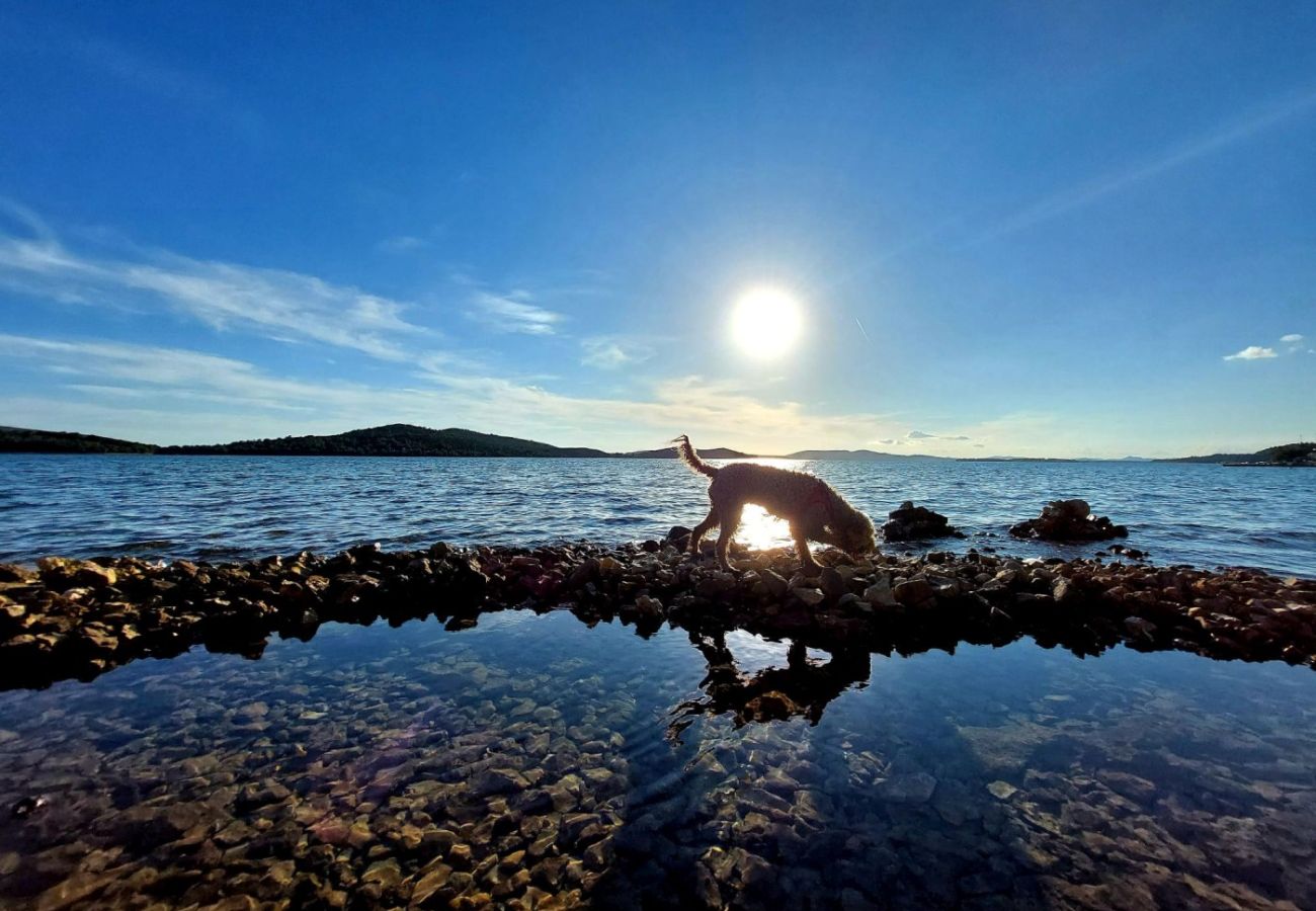 Apartament w Žaborić - Apartament w Žaborić z Widok na morze, balkon, Klimatyzacja, WIFI (5177-1)