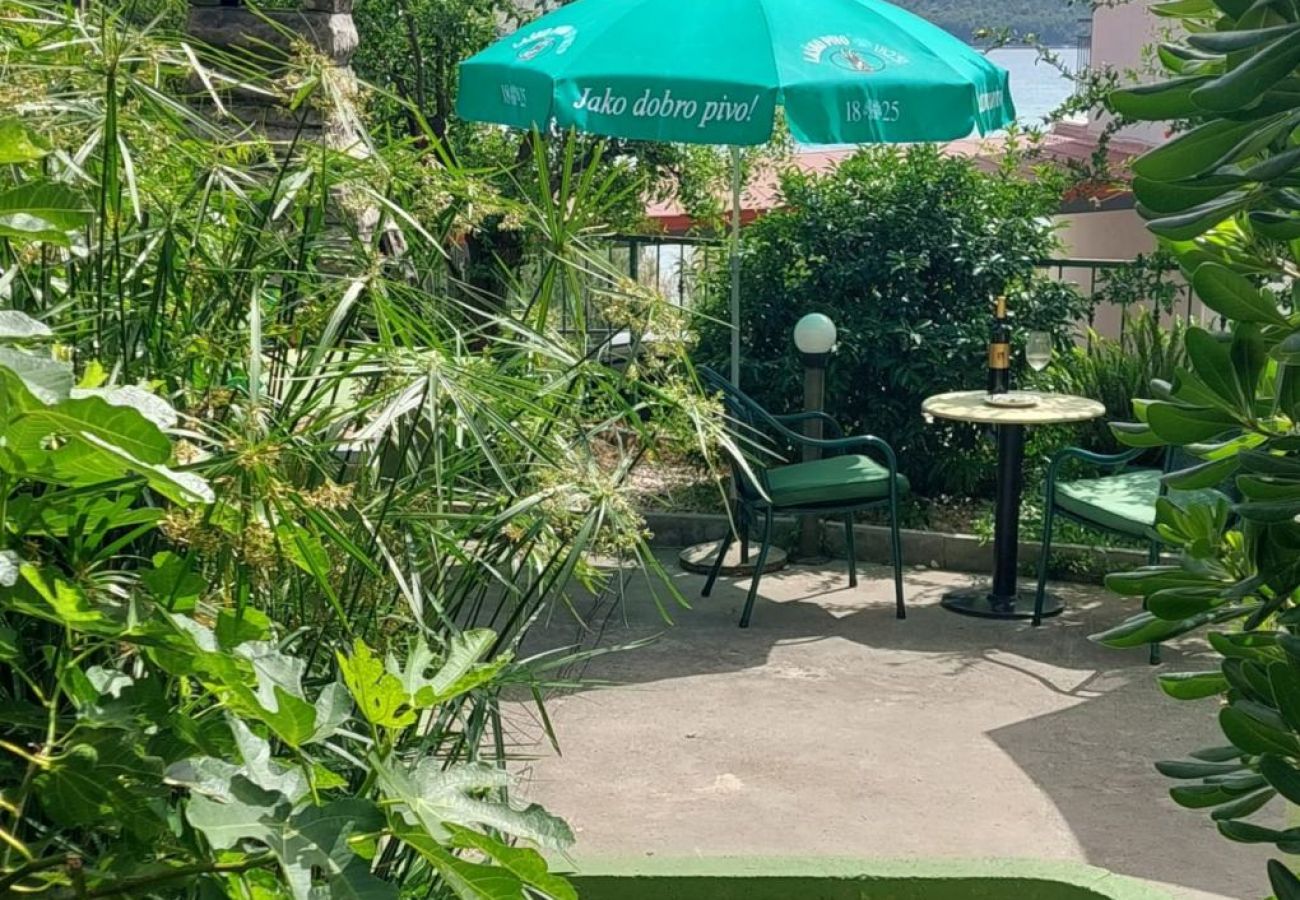 Apartament w Žaborić - Apartament w Žaborić z Widok na morze, balkon, Klimatyzacja, WIFI (5177-2)